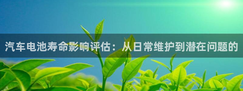 优发国际网官网17w8：汽车电池寿命影响评估：从日常维护到潜在问题的