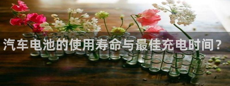 优发国际集团股份有限公司：汽车电池的使用寿命与最佳充电时间？