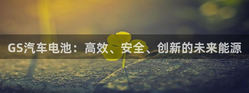 优发国际官网入口app下载苹果：GS汽车电池：高效、安全、创新的未来能源