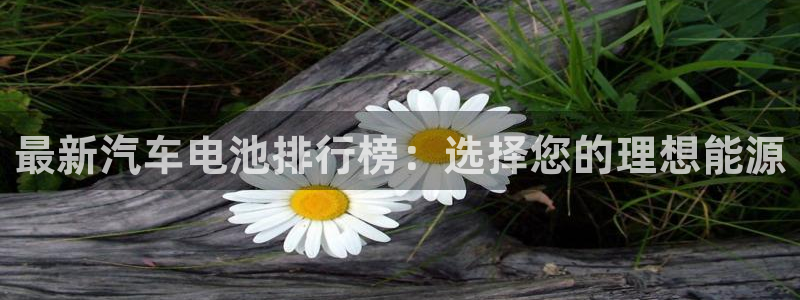 优发国际合并到哪里了啊：最新汽车电池排行榜：选择您的理想能源