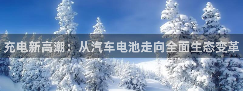 优发国际手机版客户端下载安装：充电新高潮：从汽车电池走向全面生态变革