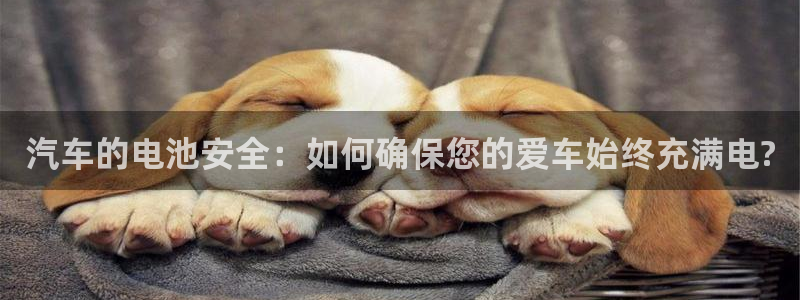 优发国际平台18