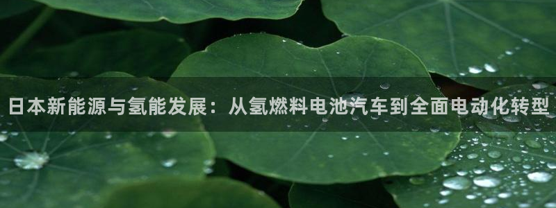 优发国际软件下载官网：日本新能源与氢能发展：从氢燃料电池汽车到全面电动化转型