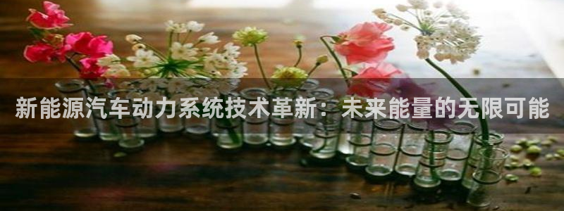 优发国际网官网17w8：新能源汽车动力系统技术革新：未来能量的无限可能