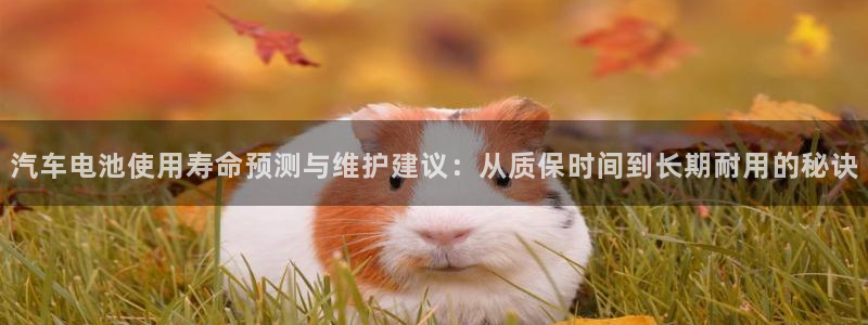 优发国际首页首页登录