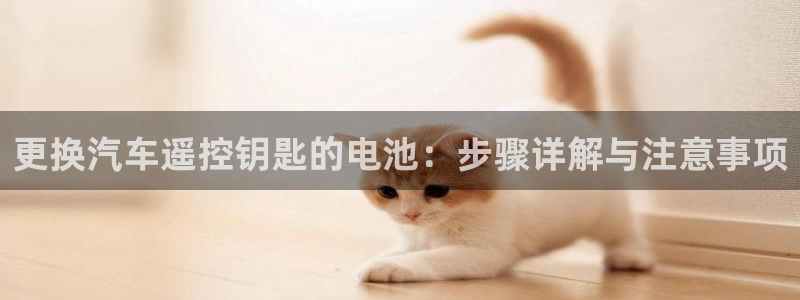 优发国际平台网站：更换汽车遥控钥匙的电池：步骤详解与注意事项