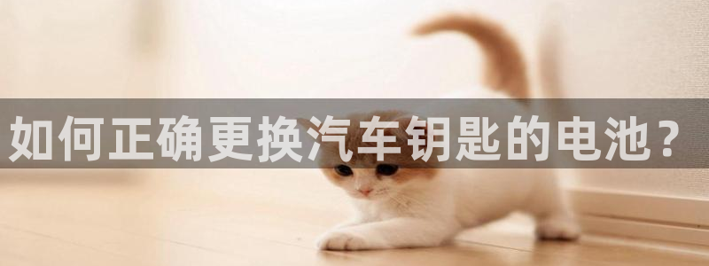 优发国际平台18：如何正确更换汽车钥匙的
