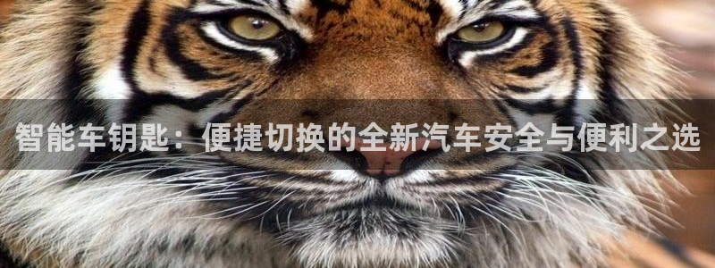 优发国际平台app下载安装：智能车钥匙：