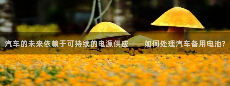 优发国际平台g80