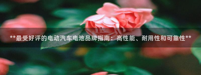 优发国际平台u8是什么软件：**最受好评