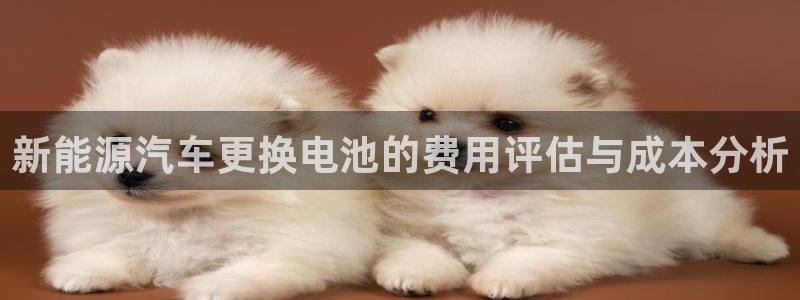 优发国际注册账号：新能源汽车更换电池的费用评估与成本分析