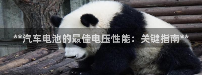 优发国际登录l8：**汽车电池的最佳电压性能：关键指南**