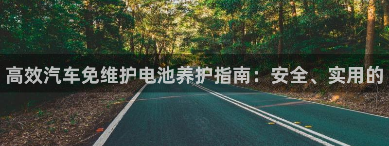 优发国际安卓版下载安装：高效汽车免维护电池养护指南：安全、实用的