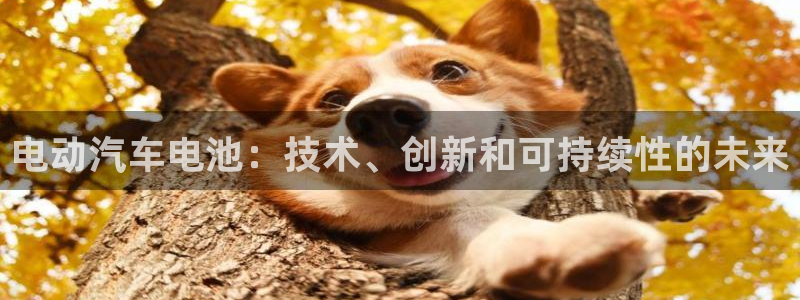 优发国际合并到哪里了