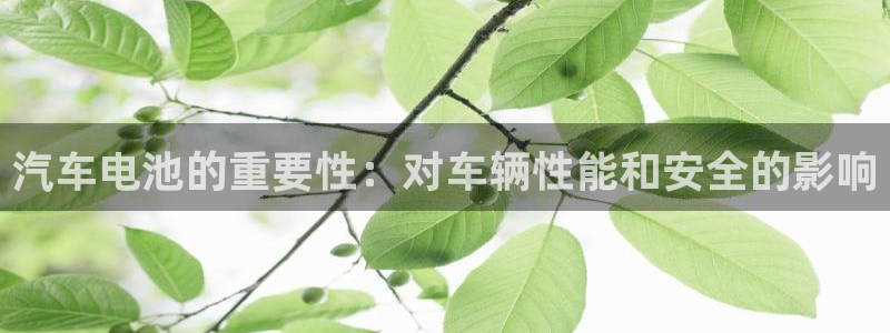 优发国际官网首页：汽车电池的重要性：对车辆性能和安全的影响