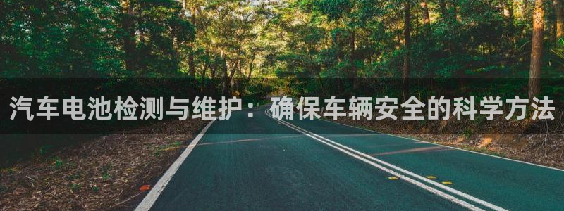 优发国际多少钱：汽车电池检测与维护：确保车辆安全的科学方法