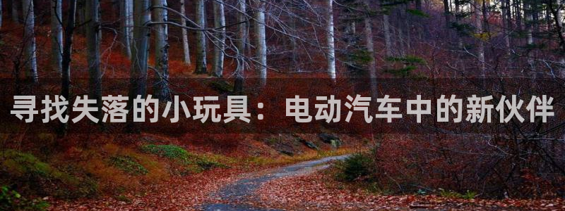 优发国际集团股份有限公司官网：寻找失落的小玩具：电动汽车中的新伙伴